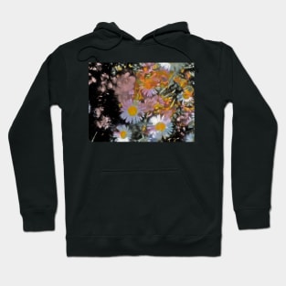 Abstract 116 Hoodie